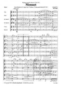 Bläserklassenschule 'Klasse musiziert' 