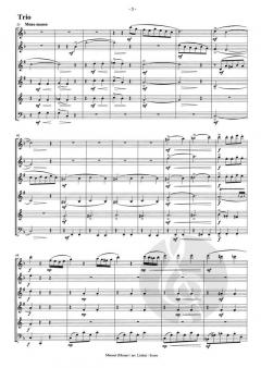 Bläserklassenschule 'Klasse musiziert' 