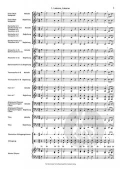 Bläserklassenschule 'Klasse musiziert': Martinslieder 