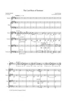 The Last Rose Of Summer von Patrick Hawes 