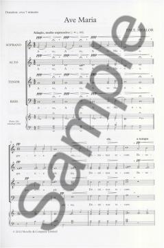 Ave Maria von Paul Mealor 