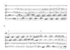 ...Ohikulkua Ja Epäilystä... von Jouni Kaipainen 