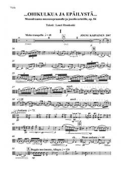 ...Ohikulkua Ja Epäilystä... von Jouni Kaipainen 