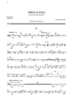 Three Scenes (Per Norgard) 