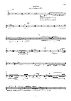 Arachne (Anders Brodsgaard) 