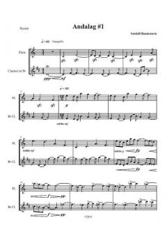 Andalag # 1 von Sunleif Rasmussen für Holzbläser Duo im Alle Noten Shop kaufen