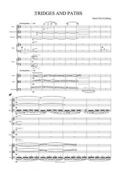 Bridges And Paths (Sören Nils Eichberg) 