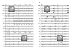 A Diamond for Parker von Rob Goorhuis 