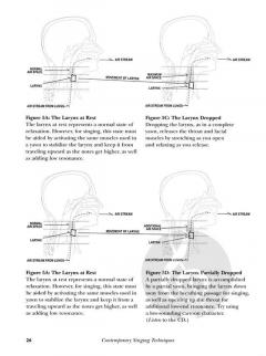 Contemporary Singing Techniques (Women's Edition) von Bob Rose 