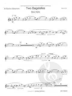 Zwei Bagatellen von Marco Pütz 