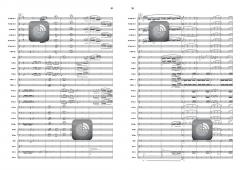 A Diamond for Parker von Rob Goorhuis 