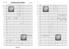 A Diamond for Parker von Rob Goorhuis 