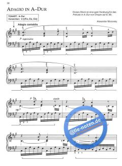 Klavierschule für Erwachsene Band 3 von Willard A. Palmer im Alle Noten Shop kaufen