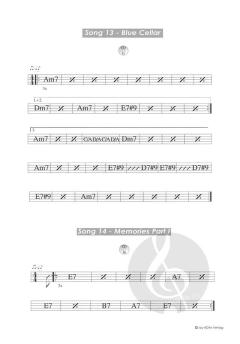 Perfect Bluesguitar von Frank Diez 