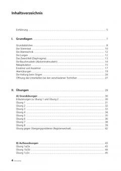 Voice Basics von Renate Braun 