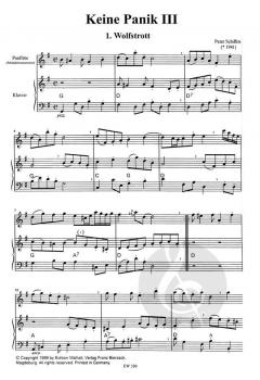 Keine Panik III von Peter Schiffers 
