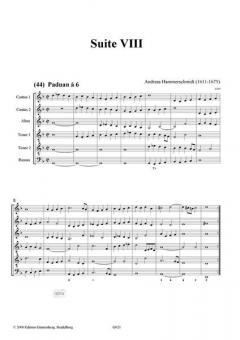 Erster Fleiß: Suiten VIII & IX in g, B von Andreas Hammerschmidt 