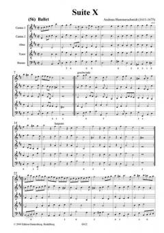 Erster Fleiß: Suiten X & XI in h, G/g von Andreas Hammerschmidt 