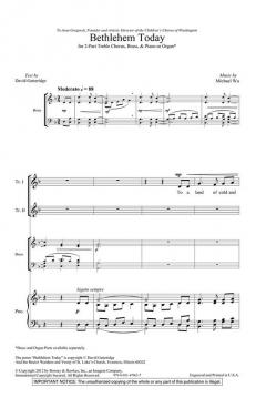 Bethlehem Today (Michael Wu) 