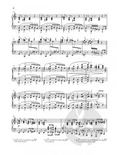 Nachtstücke op. 23 von Robert Schumann 