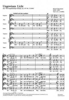 Ungewisses Licht (Robert Schumann) 