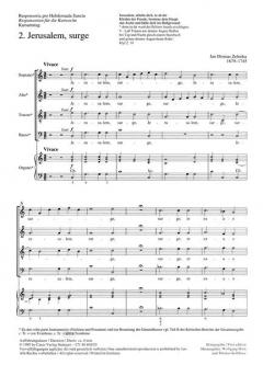 Jerusalem, surge (Jan Dismas Zelenka) 