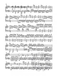 Klaviersonaten Band 3 von Franz Schubert im Alle Noten Shop kaufen - HN150