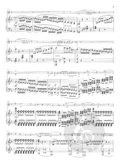 Sonate F-dur op. 24 von Ludwig van Beethoven 