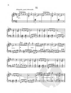 Lieder von der Mur-Insel von Marko Tajcevic 