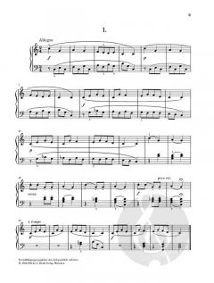 Lieder von der Mur-Insel von Marko Tajcevic 