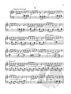 Lieder von der Mur-Insel von Marko Tajcevic 