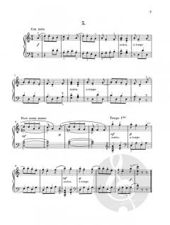 Lieder von der Mur-Insel von Marko Tajcevic 