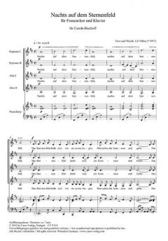 Nachts auf dem Sternenfeld (Ulrich Führe) 