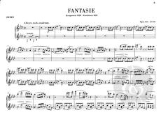 Fantasie f-moll op. 103 D 940 von Franz Schubert 