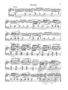 Carnaval op. 9 von Robert Schumann 