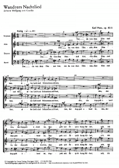 Wandrers Nachtlied; Phänomen (Karl Marx) 