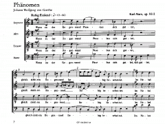 Wandrers Nachtlied; Phänomen (Karl Marx) 