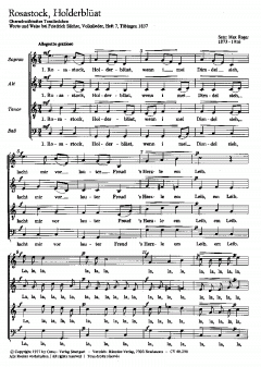 Rosastock, Holderblüat; Liebesschmerz (Max Reger) 