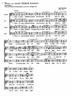 Rosastock, Holderblüat; Liebesschmerz (Max Reger) 