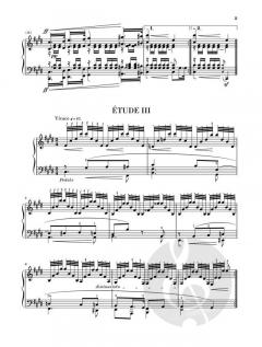 Sinfonische Etüden op. 13 von Robert Schumann 