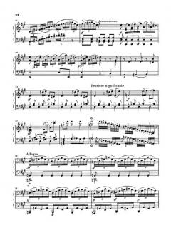 5 Capricci von Joseph Anton Steffan 