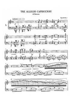 Ausgewählte Klavierwerke von Wenceslas Jan Tomaschek im Alle Noten Shop kaufen