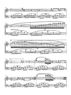 Ausgewählte Klavierwerke von Wenceslas Jan Tomaschek im Alle Noten Shop kaufen