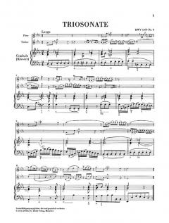 Triosonate und Canon perpetuus (J.S. Bach) 