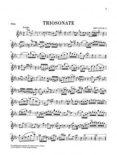 Triosonate und Canon perpetuus (J.S. Bach) 