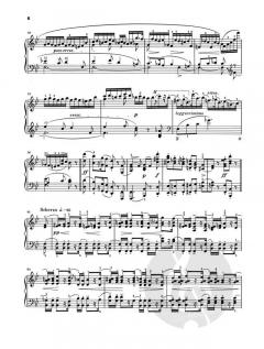 Klavierstücke von Frédéric Chopin im Alle Noten Shop kaufen - HN319