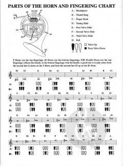 Harry Potter Instrumental Solos von John Williams für Horn
