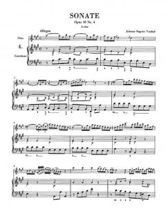 Flötenmusik 2 im Alle Noten Shop kaufen