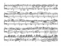 Symphonie h-moll von Claude Debussy 