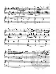 Klavierkonzert Nr. 1 e-Moll Op. 11 von Frédéric Chopin im Alle Noten Shop kaufen - HN419